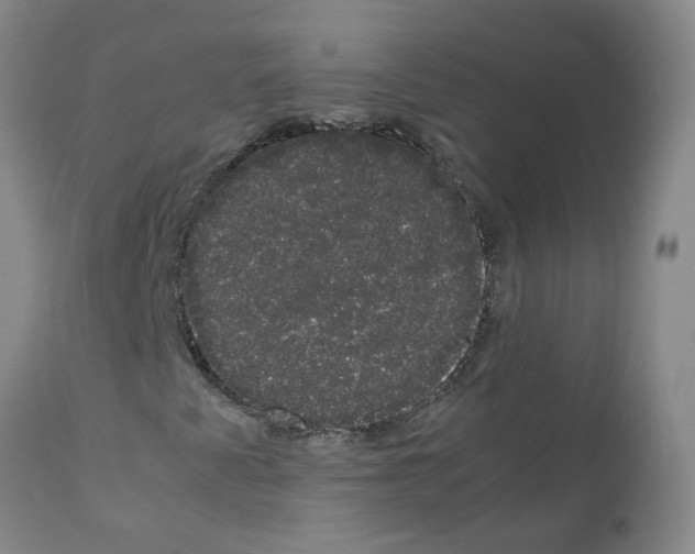 X0000111881345200909031831