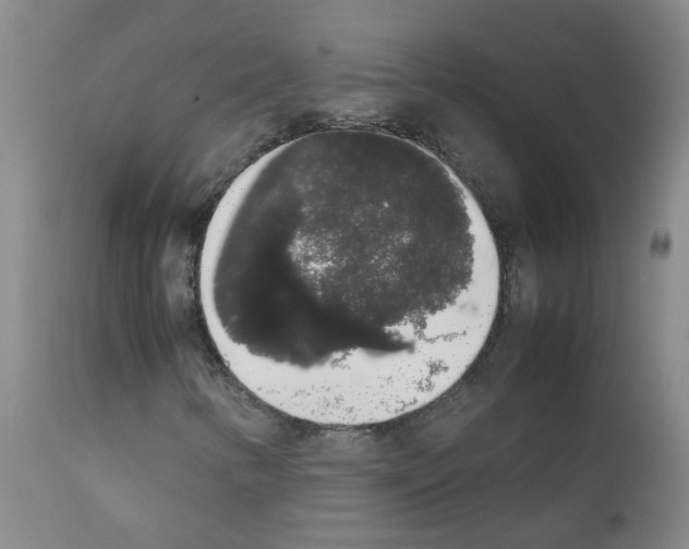 X0000111881346200909031831