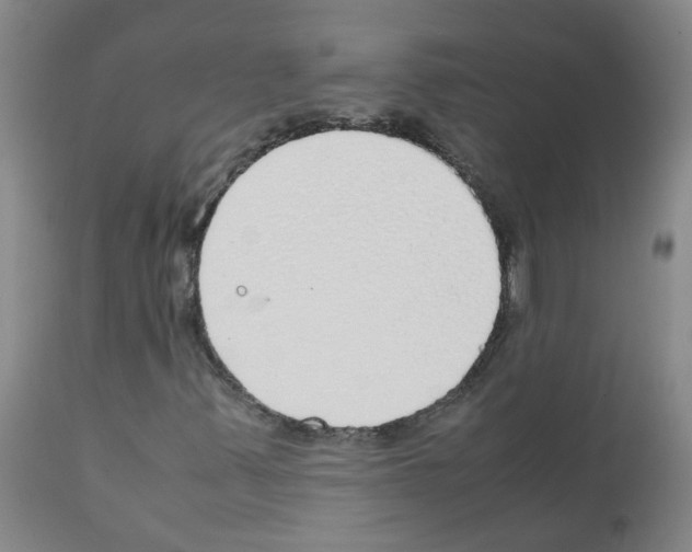 X0000111881347200909031831