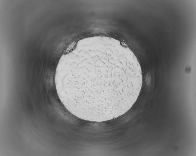 X0000111881348200909031831
