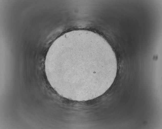 X0000111881349200909031831