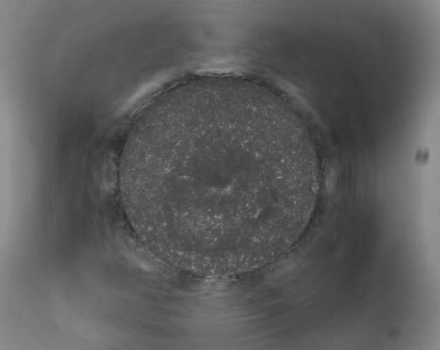 X0000111881350200909031831