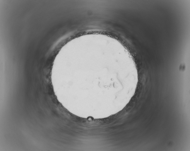 X0000111881351200909031831