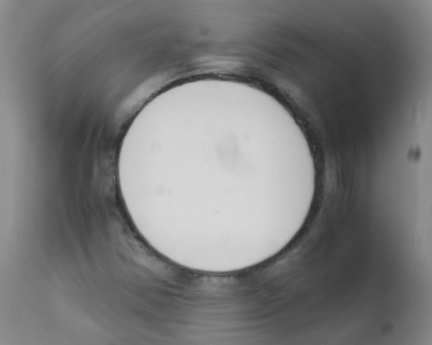 X0000111881354200909031831