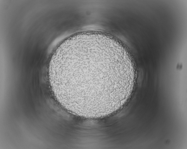 X0000111881358200909031830