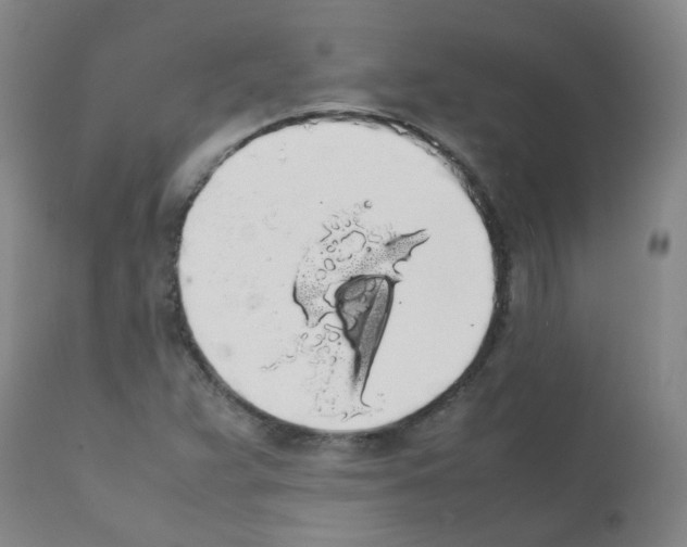 X0000111881359200909031830