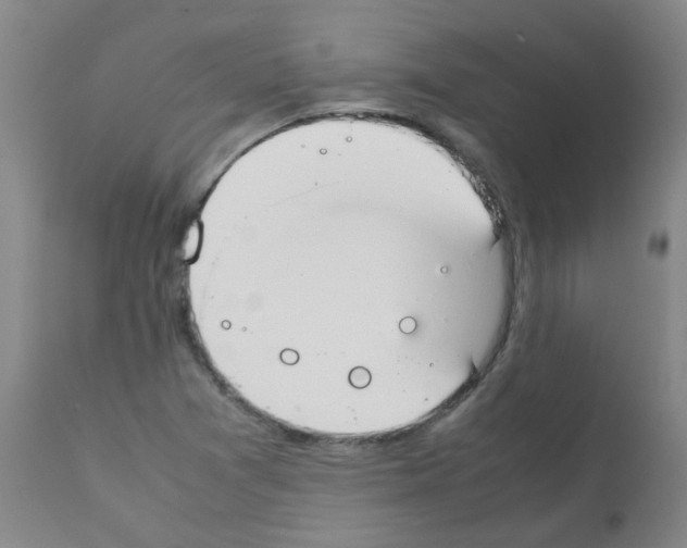 X0000111881361200909031830