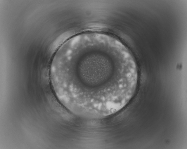 X0000111881362200909031830
