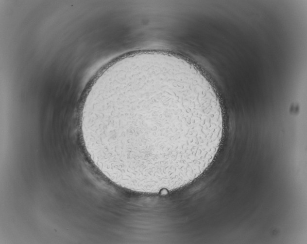 X0000111881364200909031830