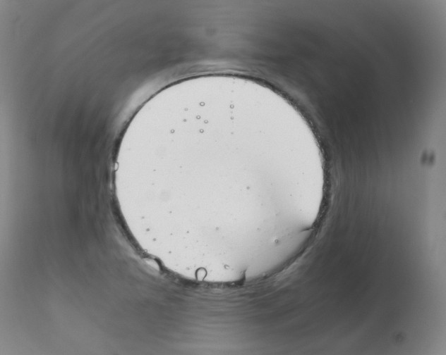 X0000111881365200909031830