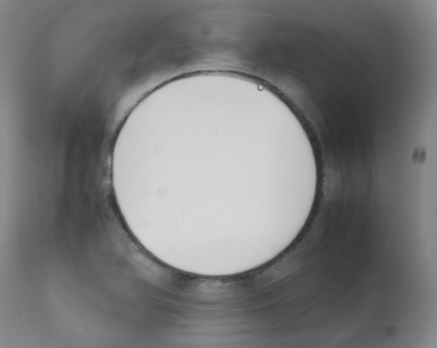 X0000111881366200909031830