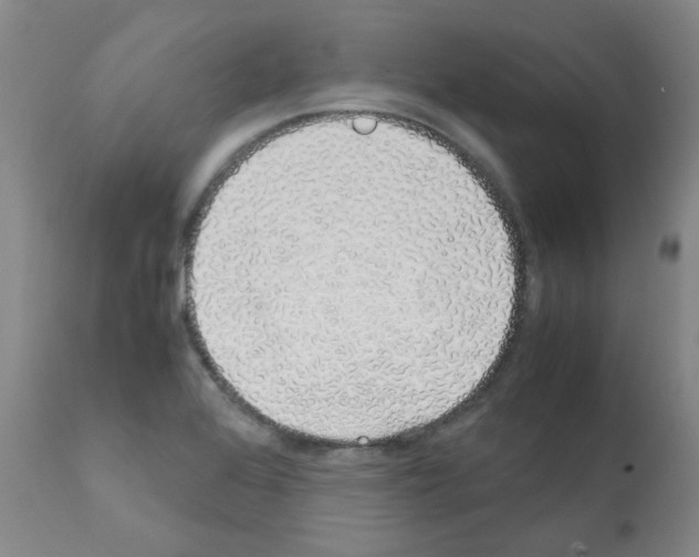 X0000111881368200909031830