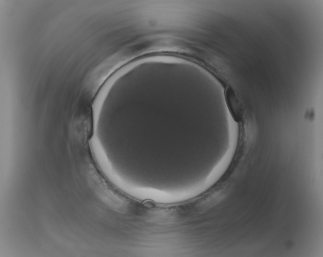 X0000111881369200909031830
