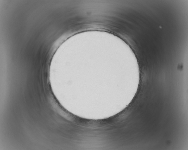X0000111881371200909031830