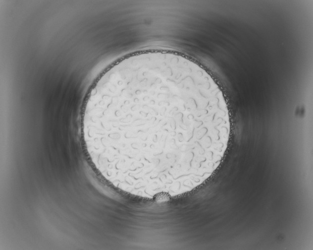 X0000111881372200909031830