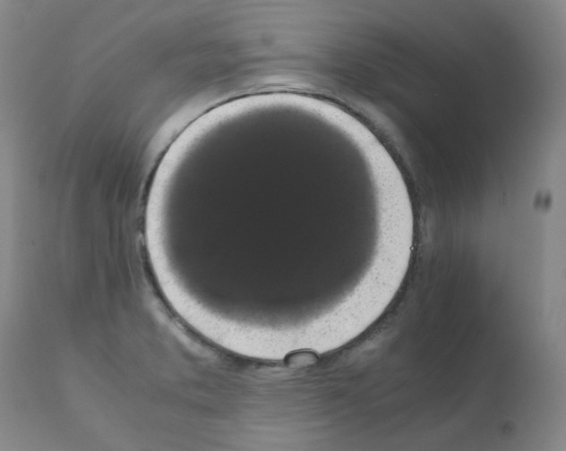 X0000111881373200909031830