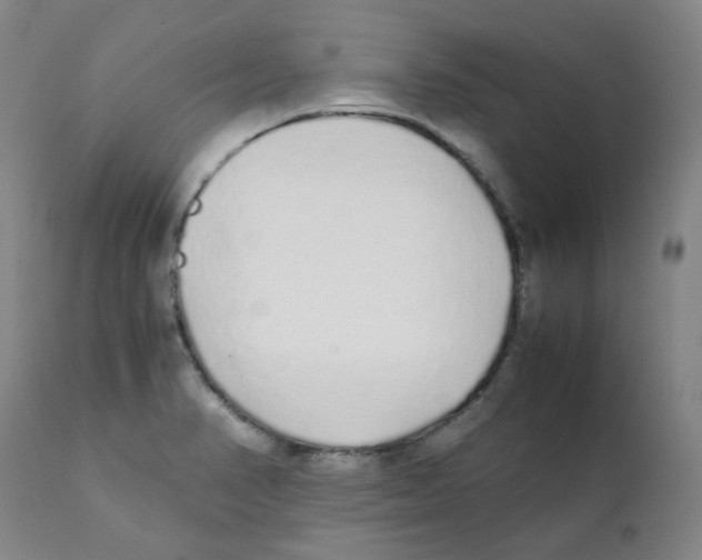 X0000111881374200909031830