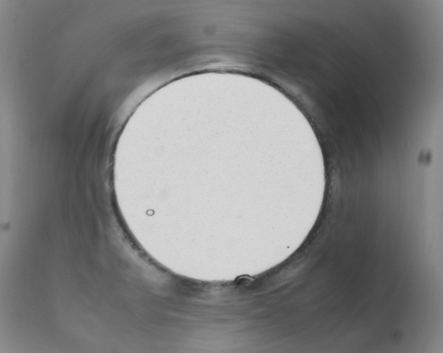 X0000111881375200909031830