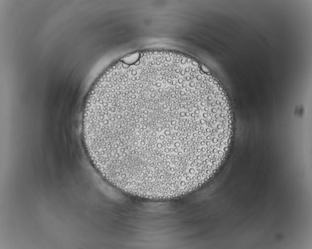 X0000111881376200909031830