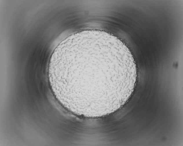 X0000111881378200909031830