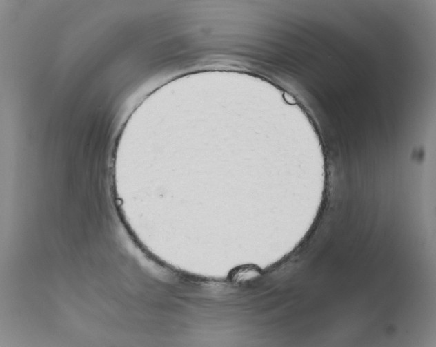 X0000111881379200909031830