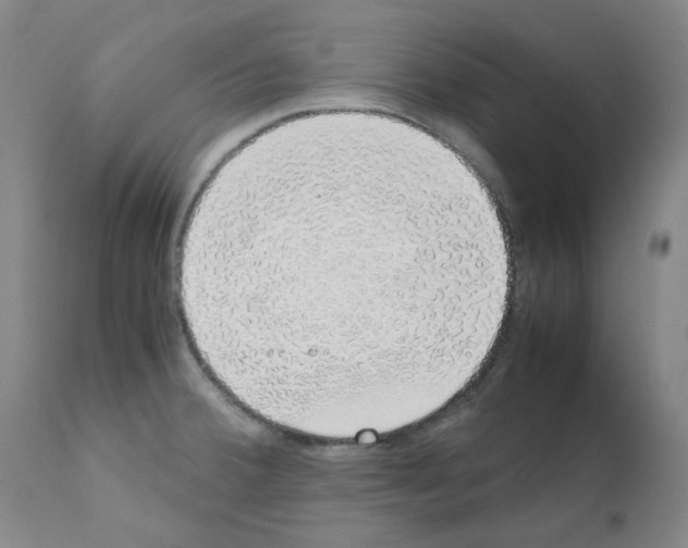 X0000111881380200909031830