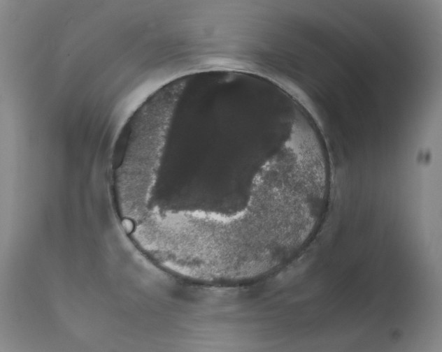 X0000111881381200909031830