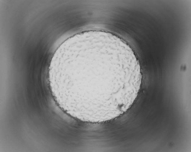 X0000111881382200909031830