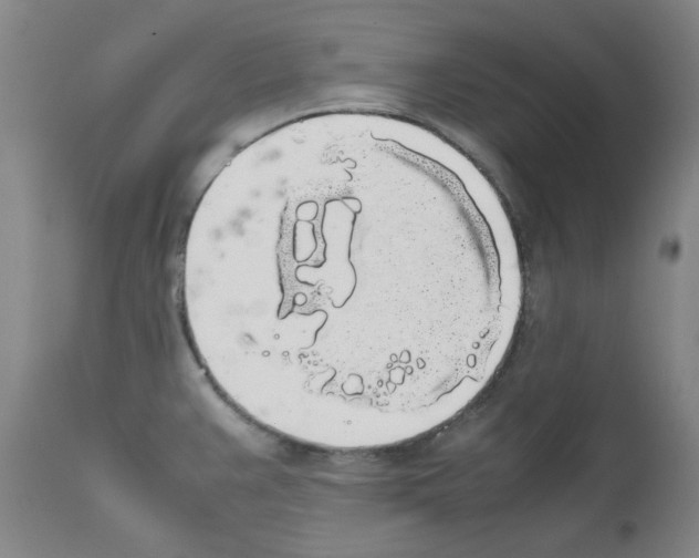 X0000111881383200909031830