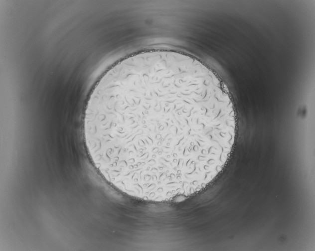 X0000111881384200909031830