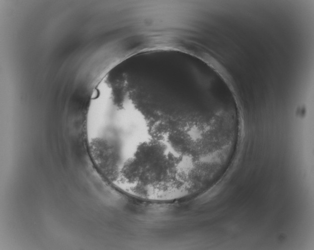 X0000111881385200909031830