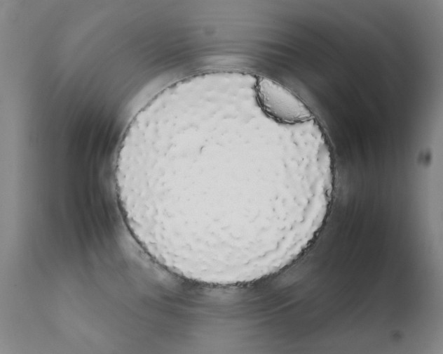 X0000111881386200909031830