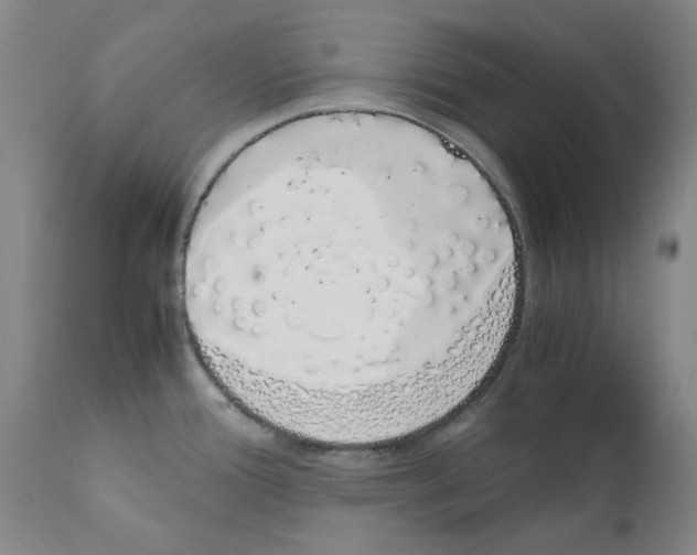 X0000111881388200909031830