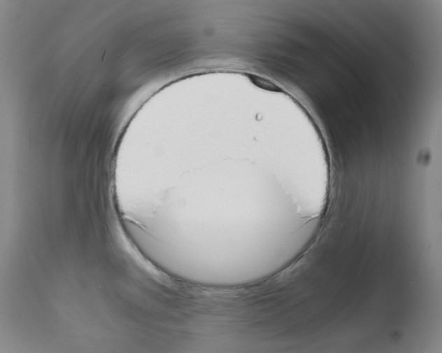 X0000111881389200909031830