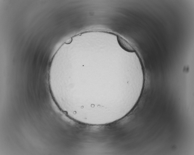 X0000111881390200909031830