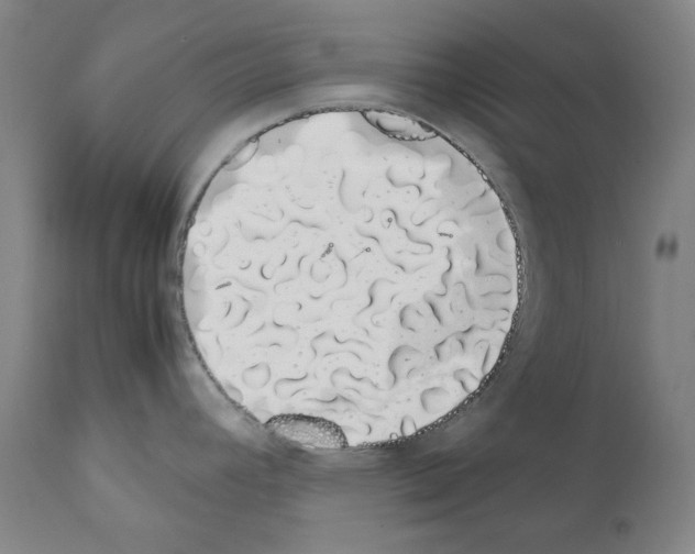 X0000111881392200909031830