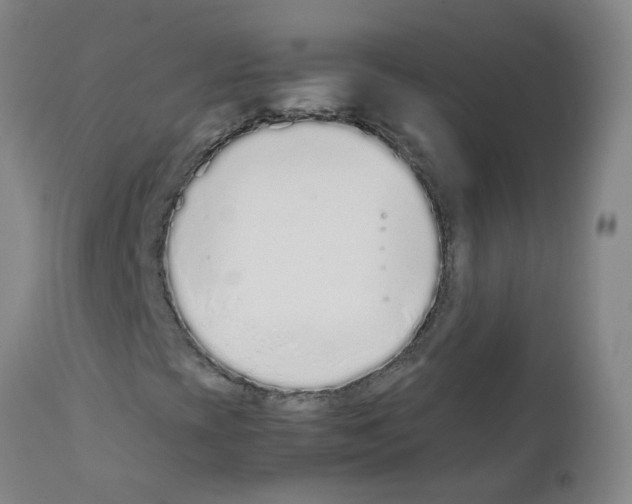 X0000111881393200909031829