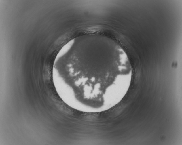 X0000111881394200909031829