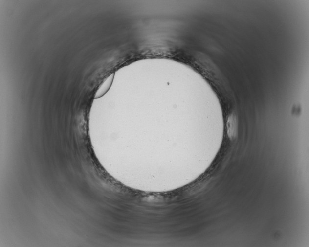 X0000111881395200909031829