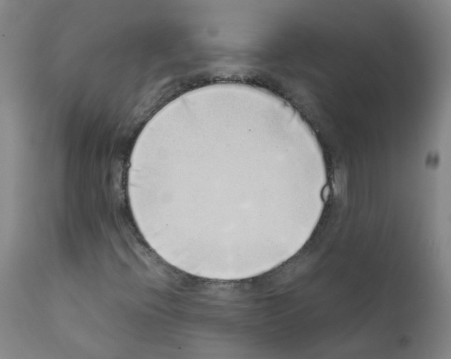 X0000111881396200909031829