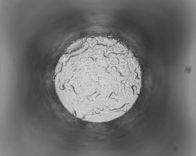 X0000111881397200909031829