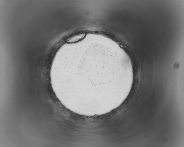 X0000111881398200909031829