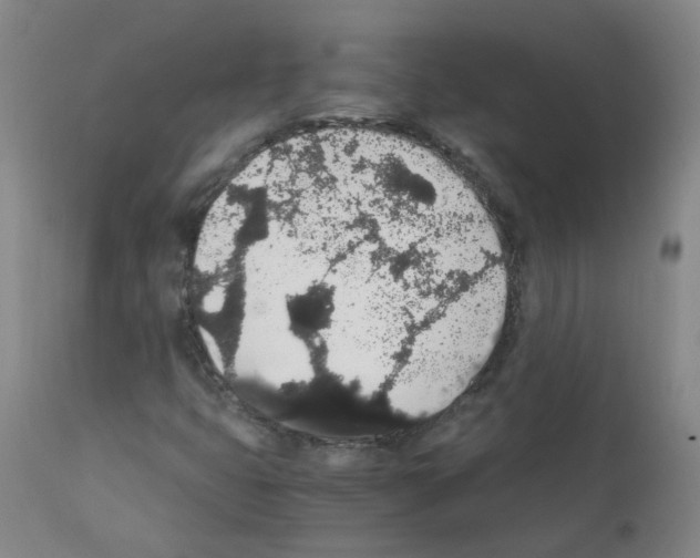 X0000111881399200909031829