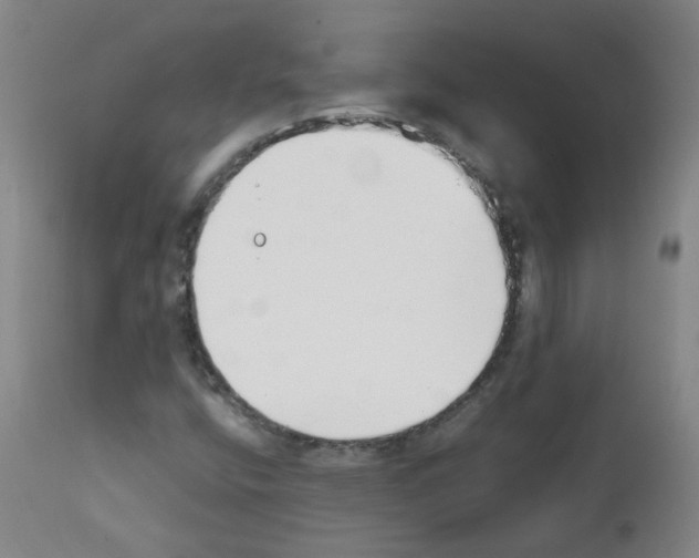 X0000111881400200909031829