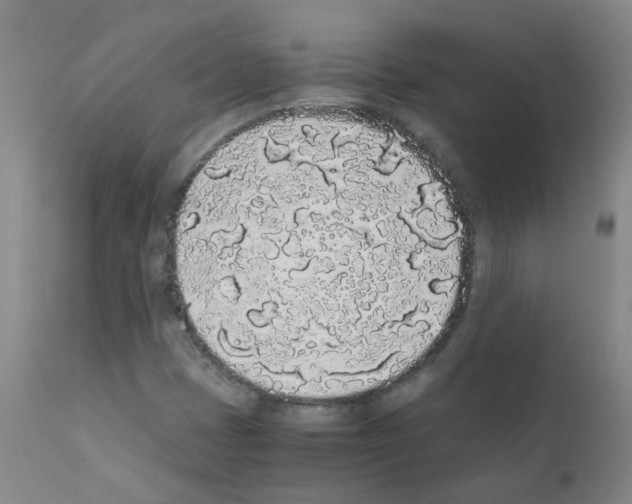 X0000111881401200909031829