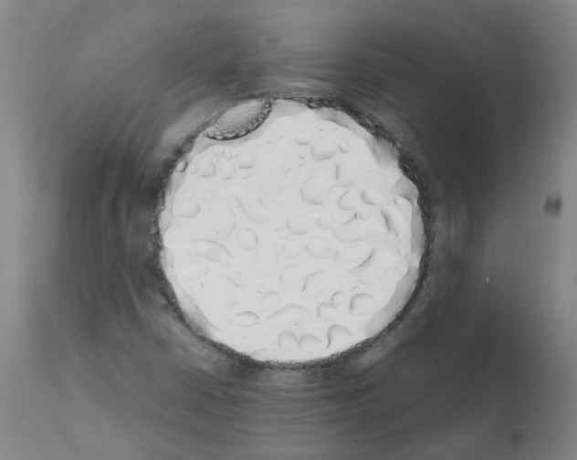 X0000111881402200909031829