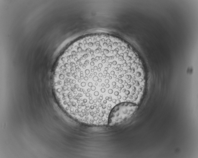 X0000111881404200909031829