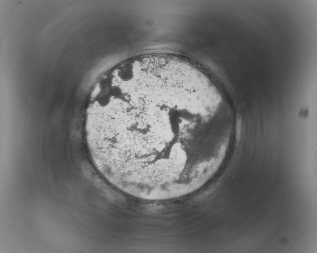 X0000111881405200909031829