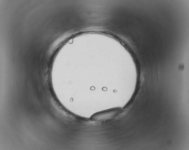 X0000111881406200909031829