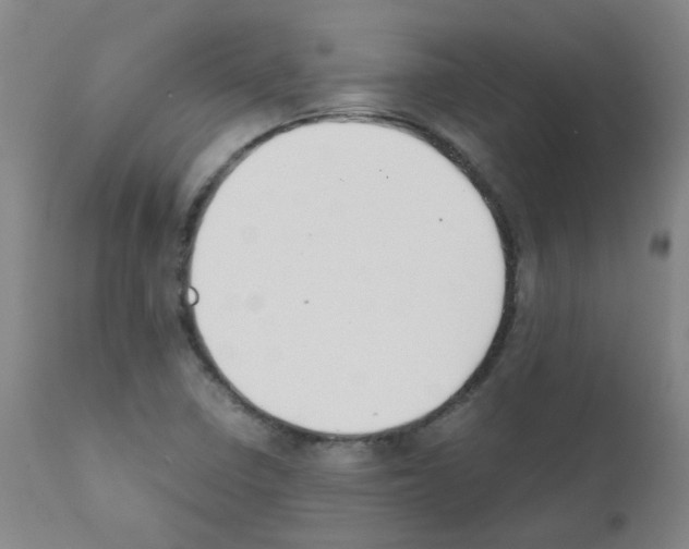 X0000111881410200909031829